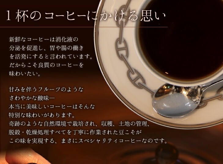 �����ҡ�Ʀ 09 ������󡦥⥫�ޥ��� 200g �ե��륿��10���դ���������¢