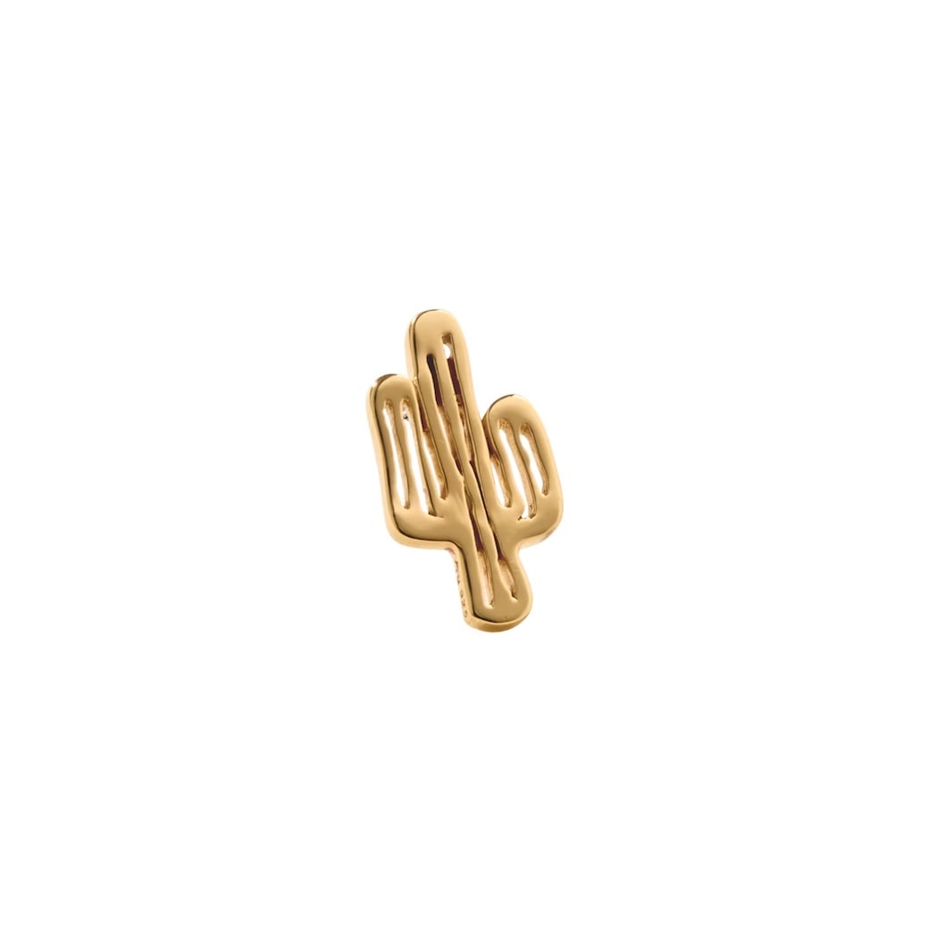Amity Cactus Gold【HALF】