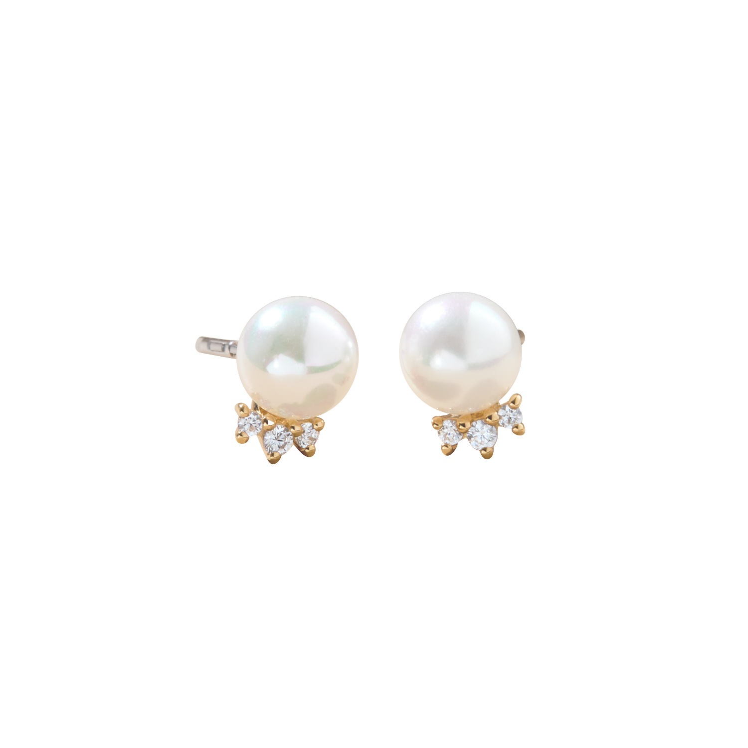 【NEW ARRIVAL】Charisma Blossom Gold