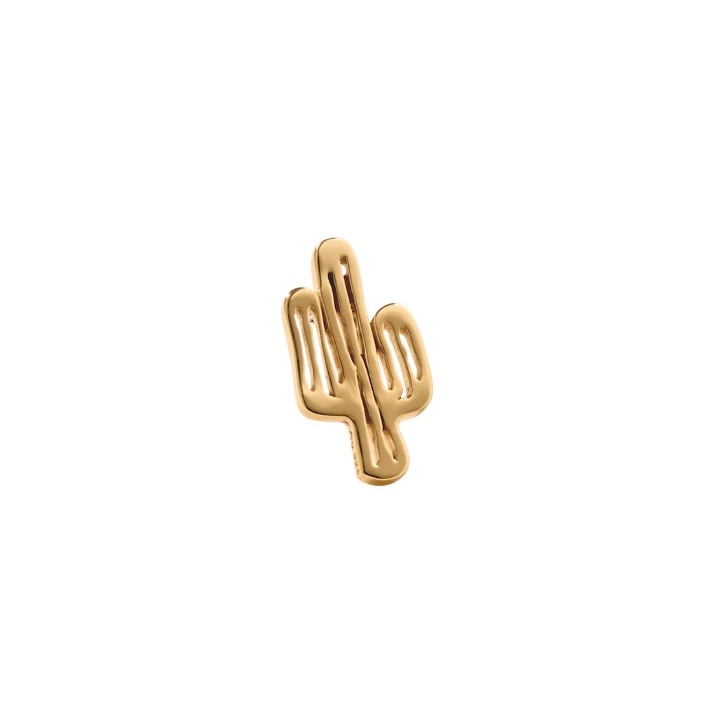 Amity Cactus Gold【HALF】