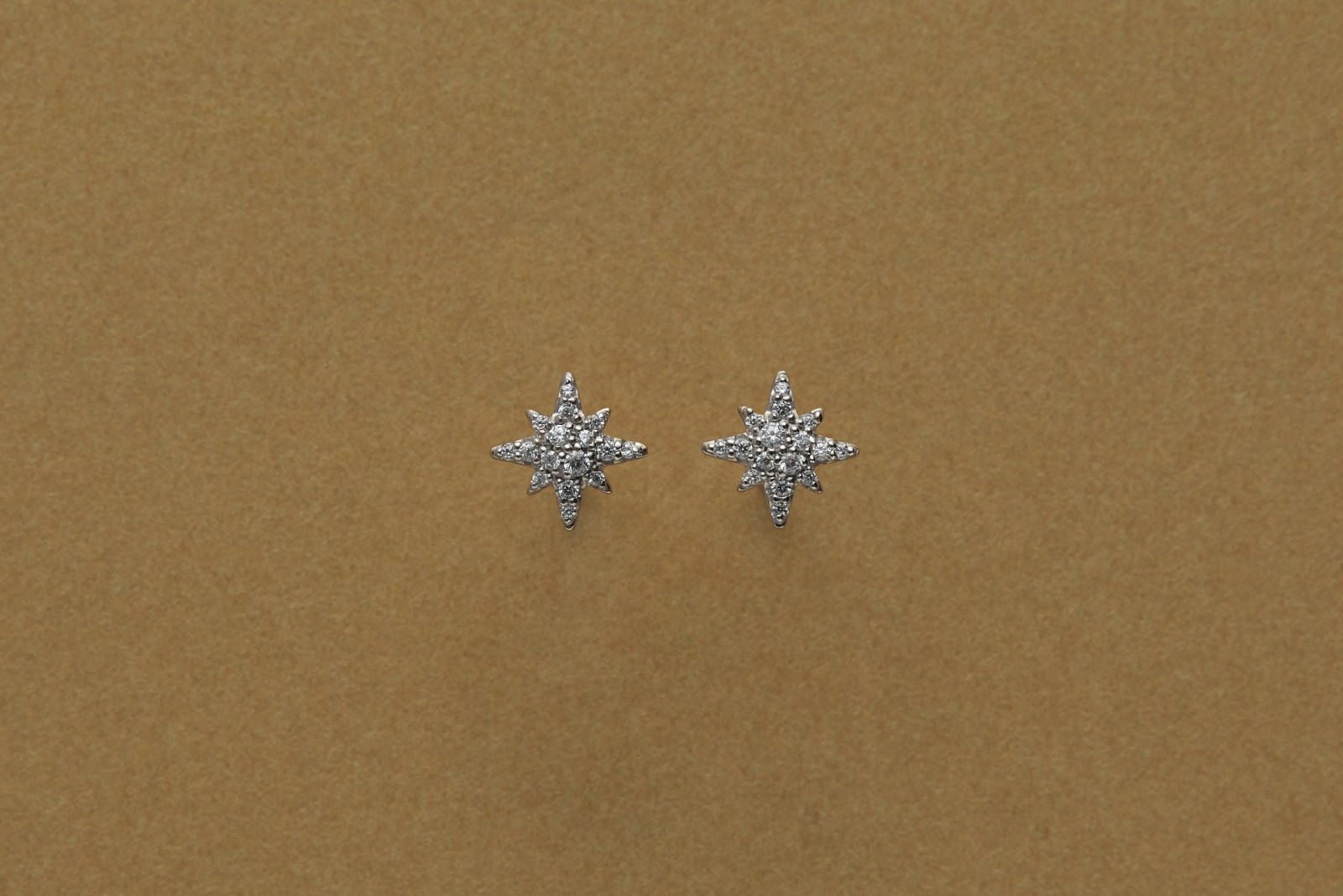 Honesty Astra Silver