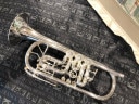 ͽѥڡ̲ Ricco Kuhn T053/CGB M-BELL SPע
