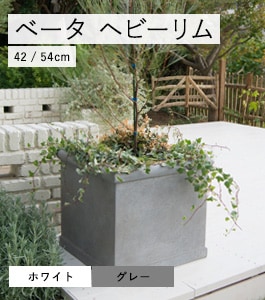 �١��� �إӡ����