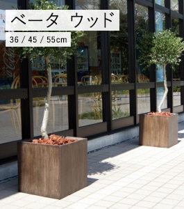 �١��� ���塼�֥ץ�󥿡� ���å�