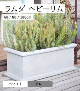 ���� �إӡ����