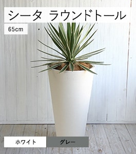 ������ �饦��ɥȡ���ץ�󥿡�