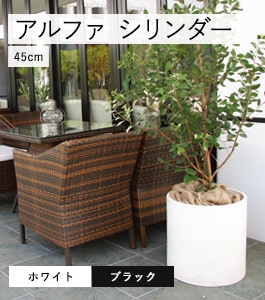 ����ե� ���������ץ�󥿡�