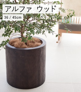 ����ե� ���������ץ�󥿡� ���å�