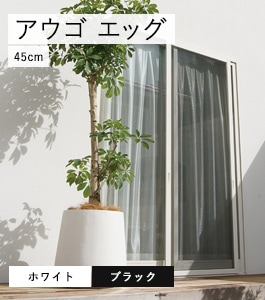 ������ ���å��ץ�󥿡�