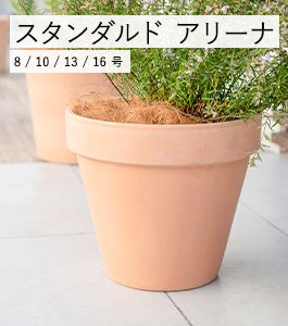 ���������� ���꡼��