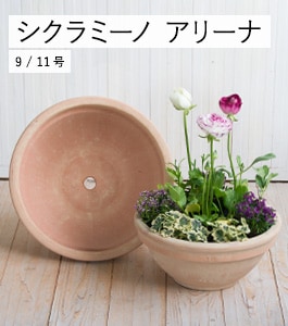 シクラミーノ アリーナ | イタリアンテラコッタ | 植木鉢・テラコッタ