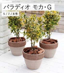 グランデュカローマ伝統的魅力的美しい浮き彫りレリーフのテラコッタ鉢