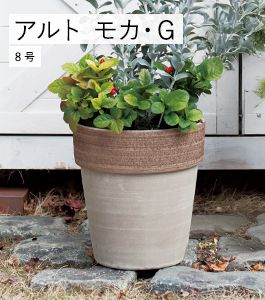 ����� �⥫������ե�������