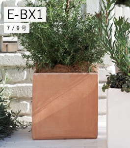 E-BX1 | テラコッタ | 植木鉢・テラコッタとプランターの通販専門店