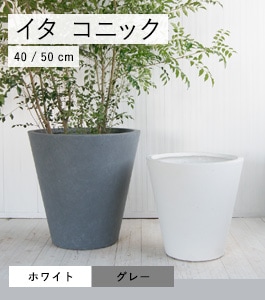 ���� ���˥å��ץ�󥿡�