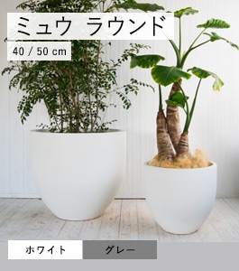 �ߥ奦 �饦��ɥץ�󥿡�