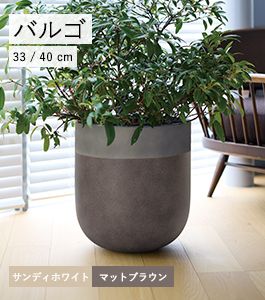 �Х르 �ġ��ȥ�