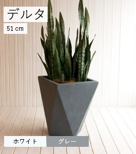 �ǥ륿 ¿���Υץ�󥿡�