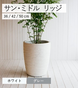 ���󡦥ߥɥ� ��å�