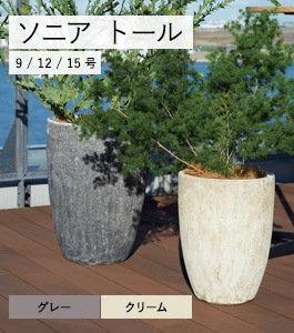 アンダーソニアナ② 実生 鉢植えメルカリ便送料込み 植木鉢／プランター／樹脂製鉢／軽量】ゾア ヘキサゴン 37cm（EB