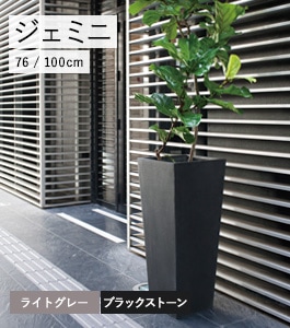 �����ߥ�