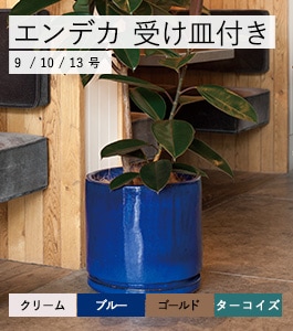 植木鉢 陶器鉢 ヴィトロ エンデカ 9号 受け皿付き エンデカ