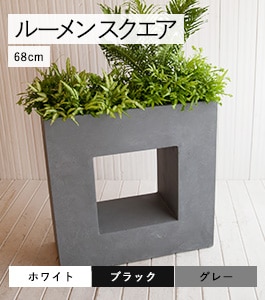 �롼��� ��������