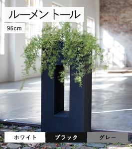 �롼��� �ȡ���