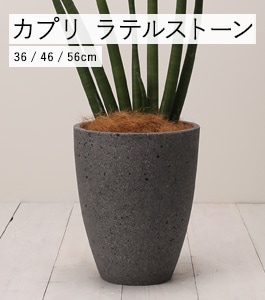 ���ץ� ��ƥ륹�ȡ���