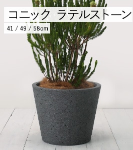 ���˥å� ��ƥ륹�ȡ���