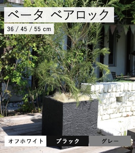 �١��� ���塼�֥ץ�󥿡� �٥����å�