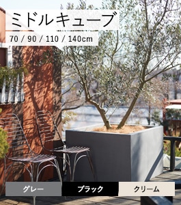 �ߥɥ륭�塼��