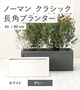 �Ρ��ޥ� ���饷�å� Ĺ�ѥץ�󥿡�