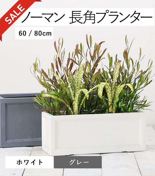 プランター　長角　花鉢　ガーデン　ファイバー 楽天市場】長角 プランターの通販