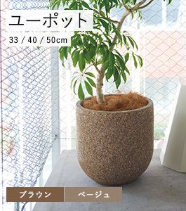 ユーポット