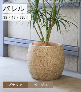 バレル