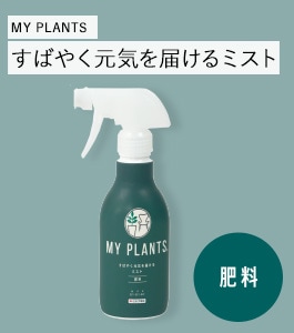MY PLANTS すばやく元気を届けるミスト | 肥料・薬剤 | 植木鉢
