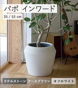 パボ インワード