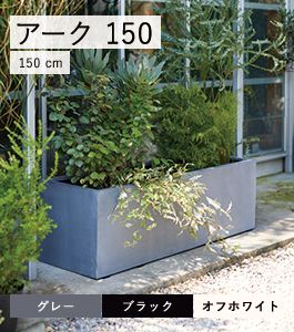 マグナム アーク 150