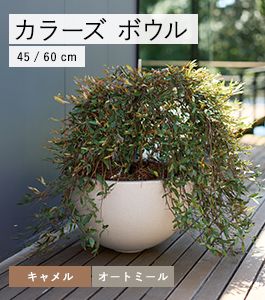 マグナム カラーズ ボウル
