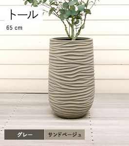 トール