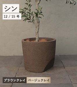 シン