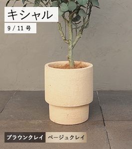 キシャル