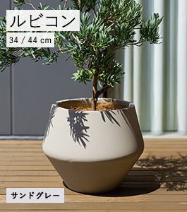 ルビコン
