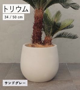 トリウム