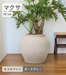 �ԥȥ� �ޥ���