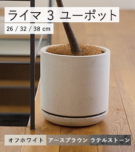 �饤�� 3 �桼�ݥå�