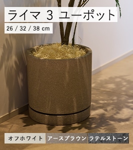 �饤�� 3 ��������