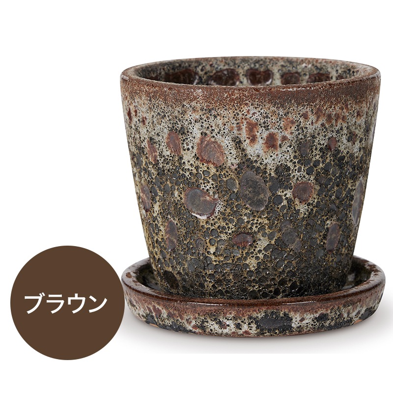 �ϡ��쥤 �������դ�