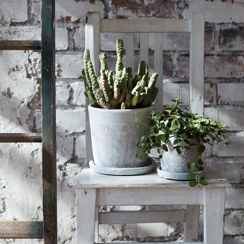 �ϡ��쥤 �������դ�